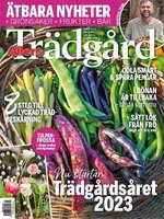 Allers Trädgård